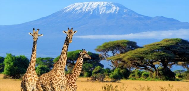 Tanzania
