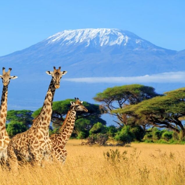 Tanzania