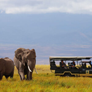 3 Days, 2 Nights Masai Mara Safaris