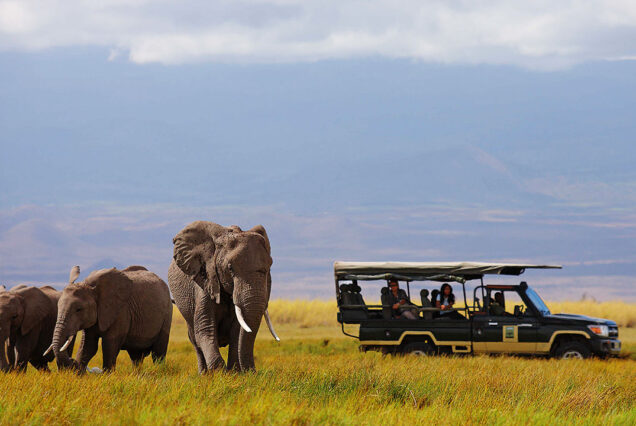 3 Days, 2 Nights Masai Mara Safaris