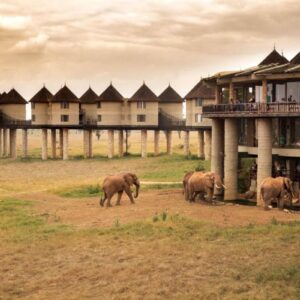 3 Days Tsavo Safari Tour Package