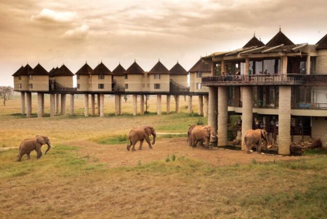 3 Days Tsavo Safari Tour Package