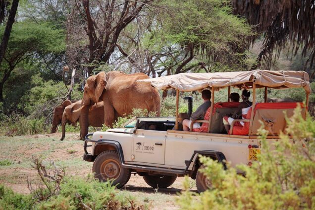 3 Days Samburu Safari Tour Package