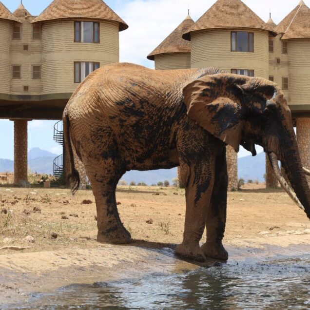 Kenya