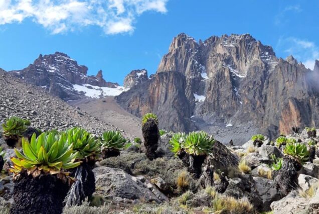 4 Days, 3 Nights Mount Kenya Climbing